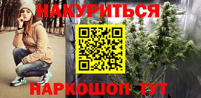 крисы Брянск