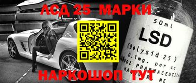 гидра Боровичи