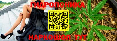 крисы Брянск