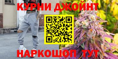 гидра Боровичи