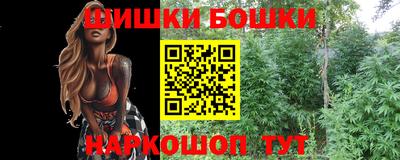 крисы Брянск