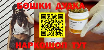 крисы Брянск