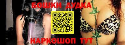крисы Брянск